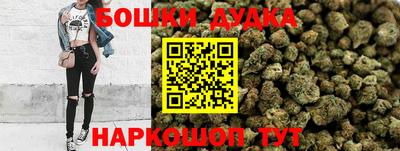 гашик Аргун