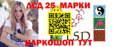 гашик Аргун